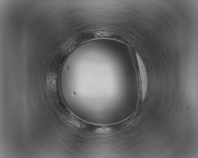 X0000061730271200512161630