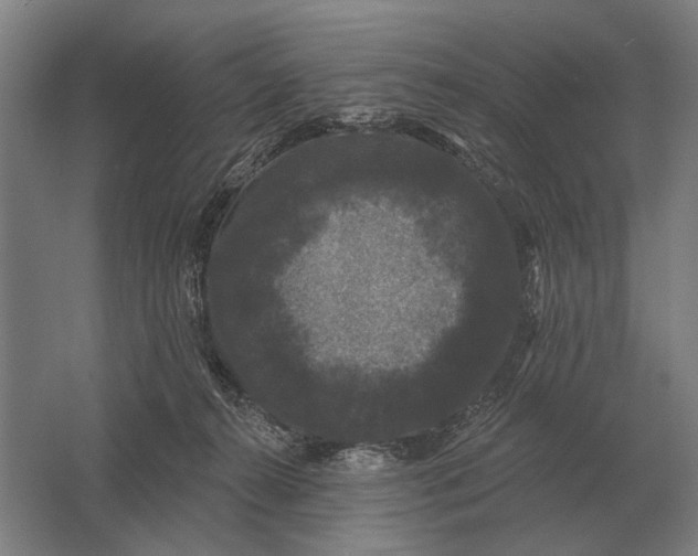 X0000061730272200512161630