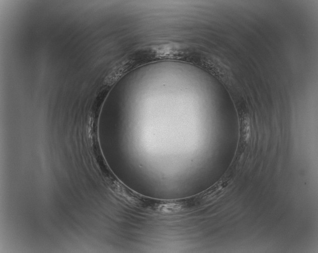 X0000061730275200512161630