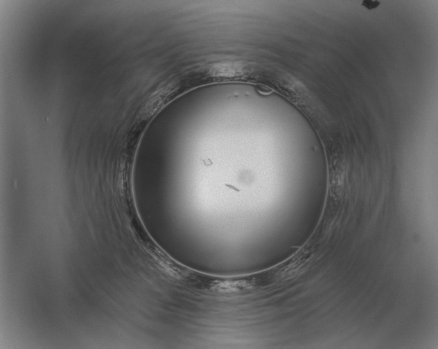 X0000061730277200512161630