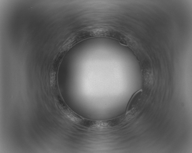 X0000061730278200512161630