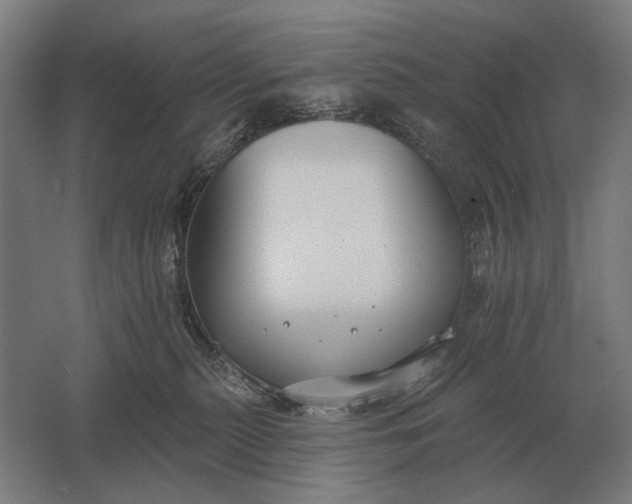 X0000061730279200512161630