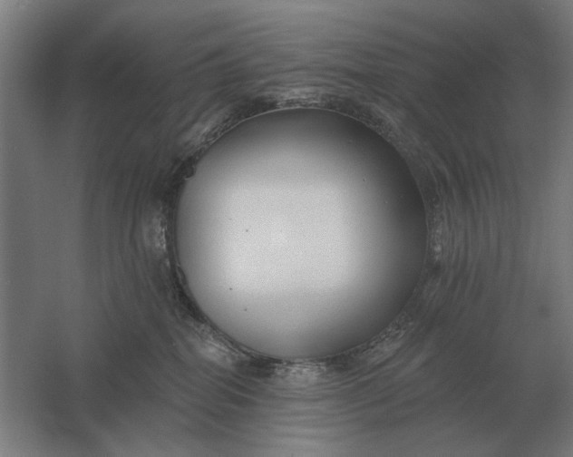 X0000061730282200512161630