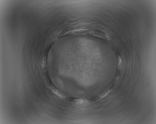 X0000061730284200512161630