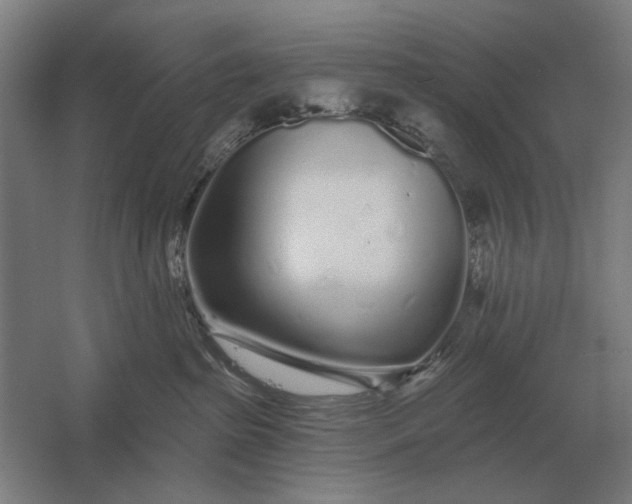 X0000061730285200512161630