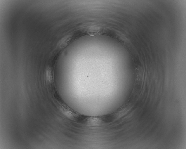 X0000061730287200512161630