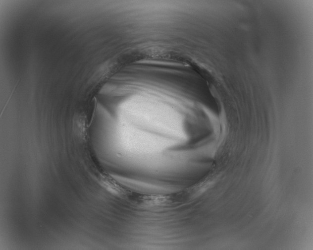 X0000061730288200512161630