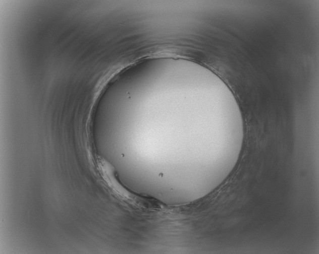 X0000061730289200512161630