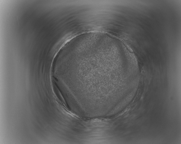 X0000061730290200512161630