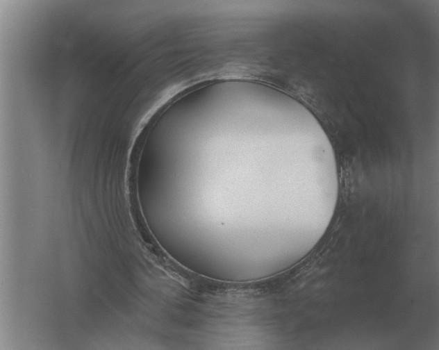 X0000061730292200512161630