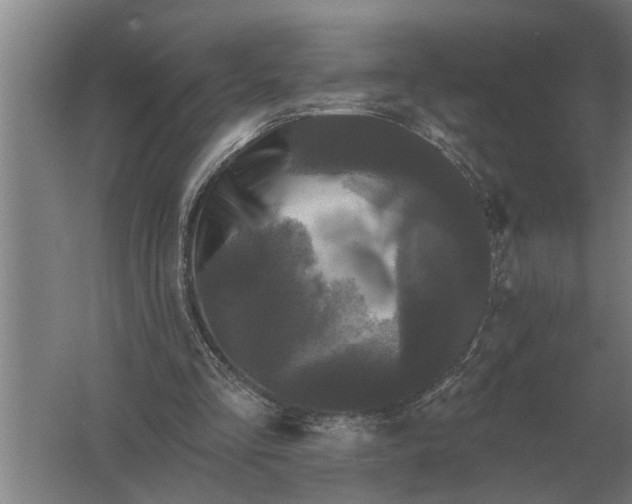 X0000061730293200512161630