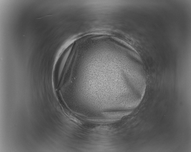 X0000061730294200512161629