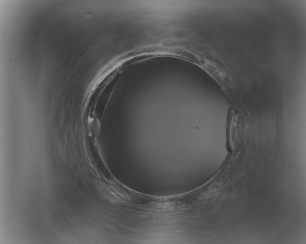 X0000061730295200512161629