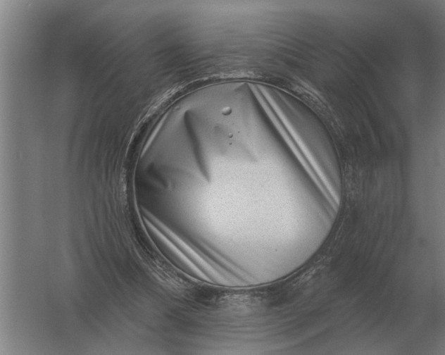 X0000061730298200512161629