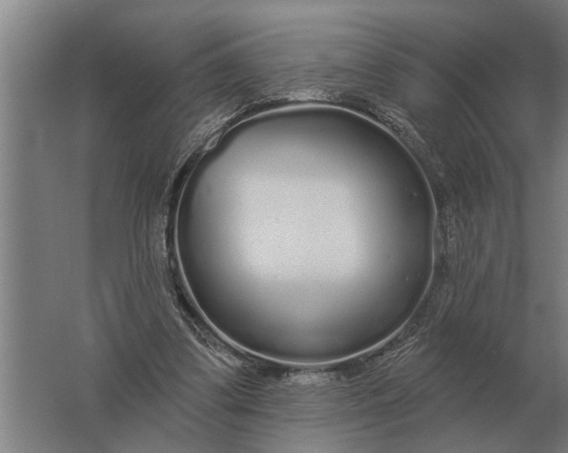 X0000061730299200512161629