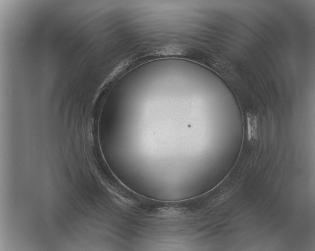 X0000061730300200512161629