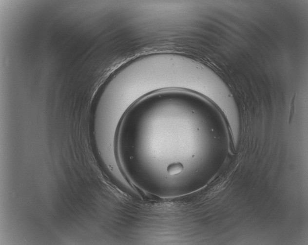 X0000061730301200512161629