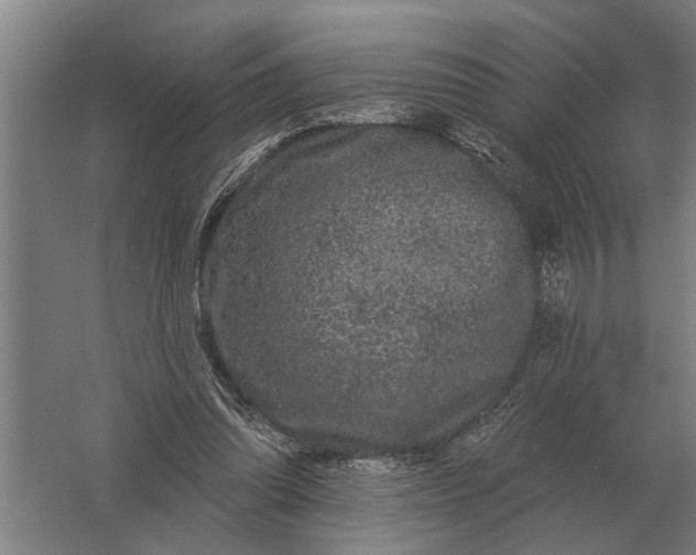 X0000061730302200512161629