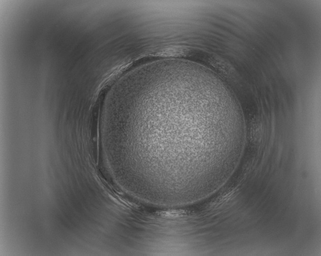 X0000061730303200512161629