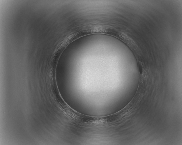 X0000061730306200512161629