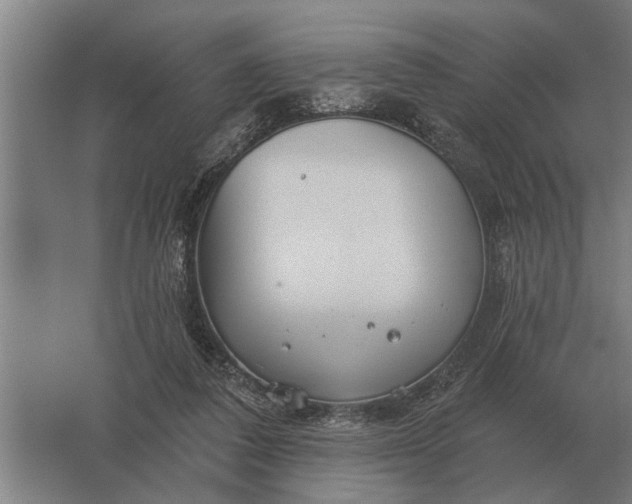 X0000061730308200512161629