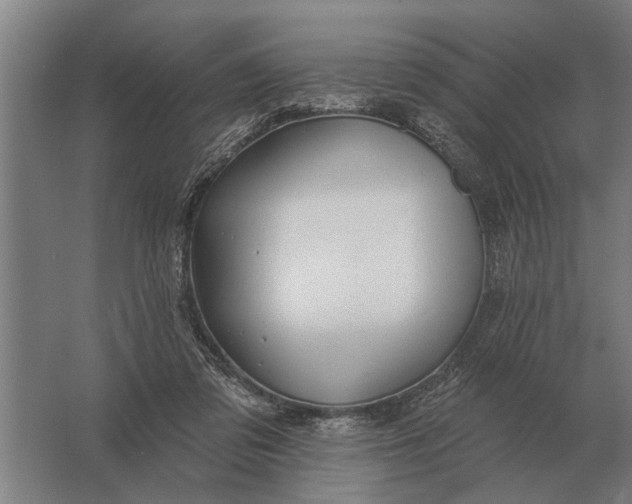 X0000061730309200512161629