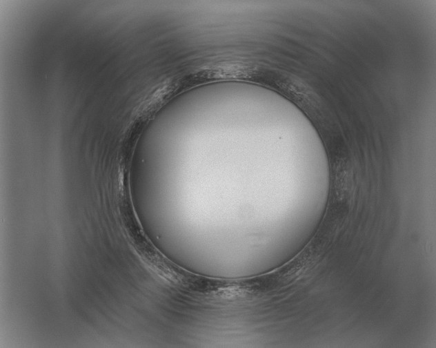 X0000061730310200512161629