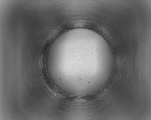 X0000061730311200512161629