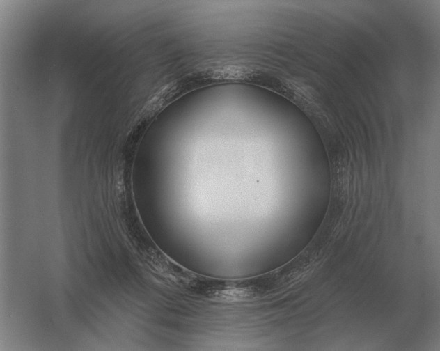 X0000061730312200512161629