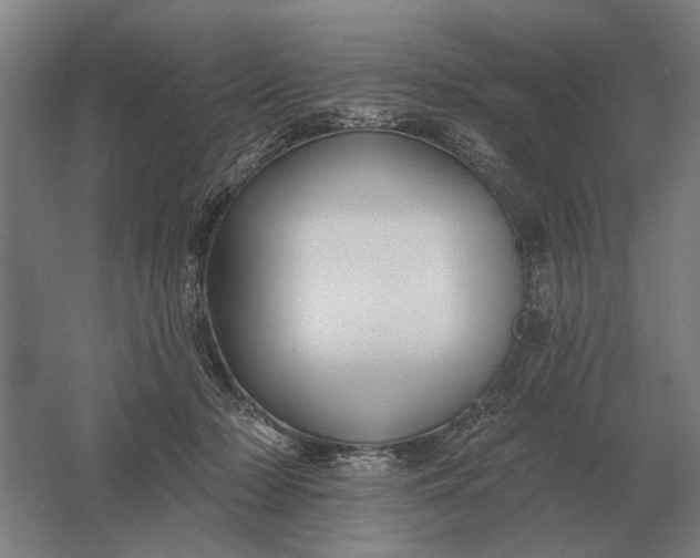 X0000061730318200512161629