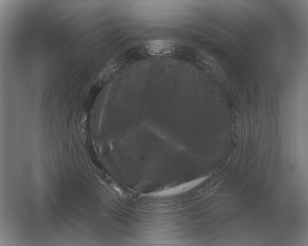 X0000061730319200512161629