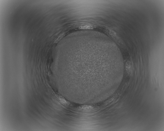 X0000061730322200512161629