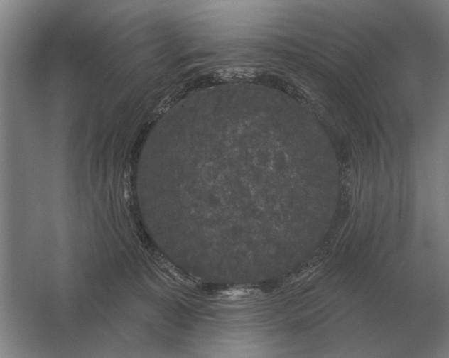 X0000061730323200512161629