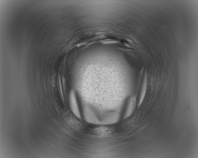 X0000061730326200512161629