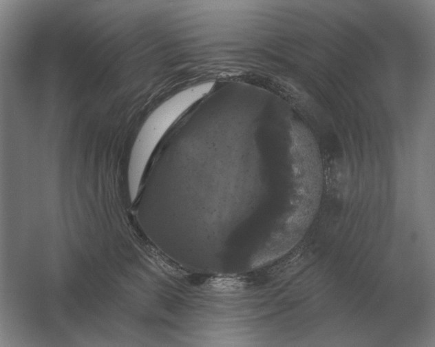 X0000061730327200512161629