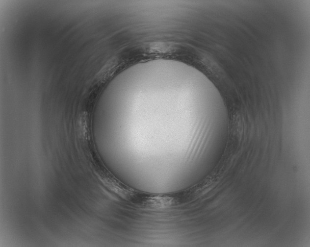 X0000061730328200512161629