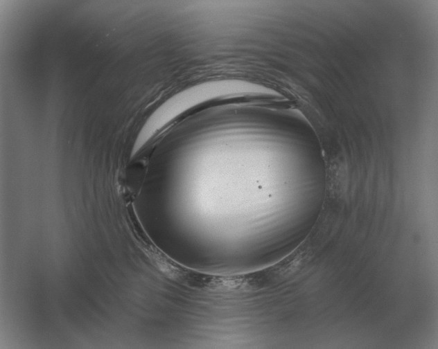 X0000061730329200512161629