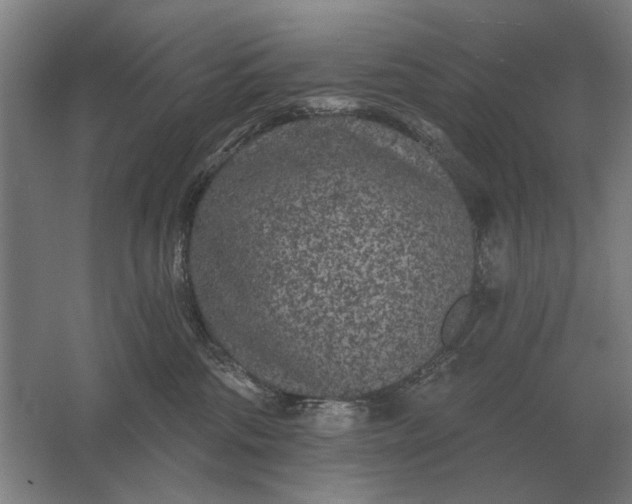 X0000061730330200512161629