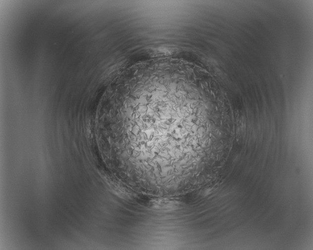 X0000061730331200512161629