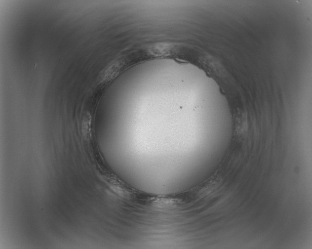 X0000061730332200512161629