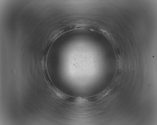 X0000061730333200512161629