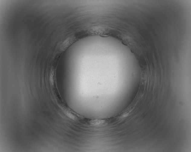 X0000061730334200512161629