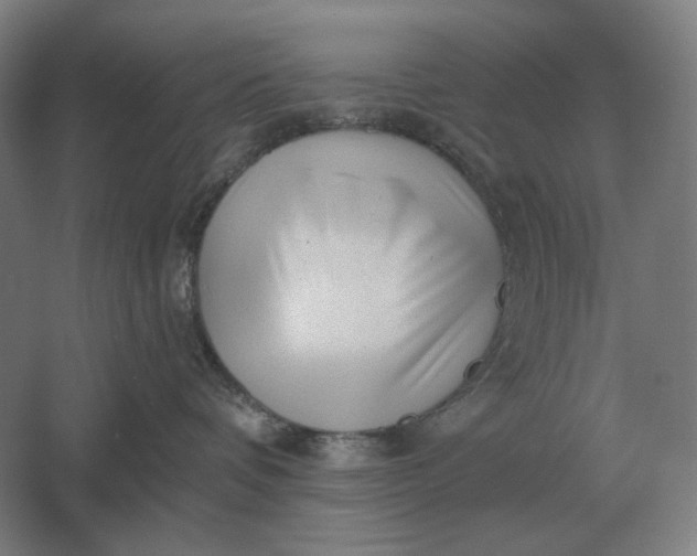 X0000061730336200512161629