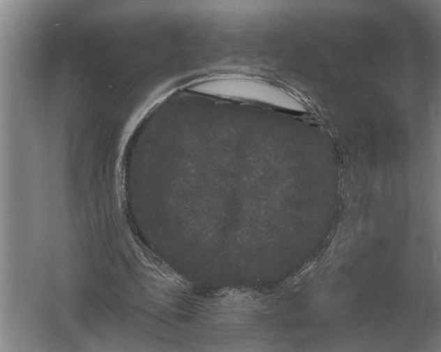 X0000061730343200512161628