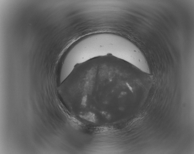 X0000061730347200512161628