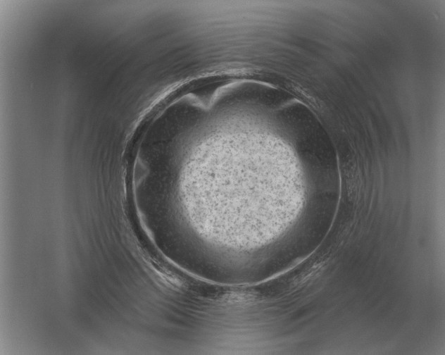 X0000061730350200512161628