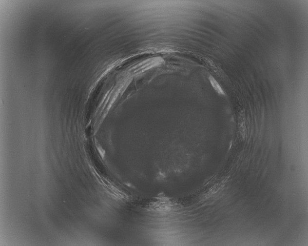 X0000061730351200512161628