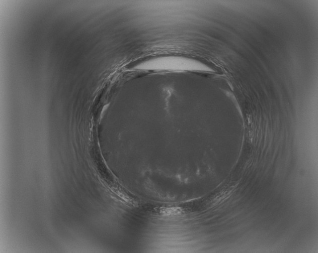 X0000061730355200512161628