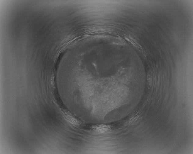 X0000061730359200512161628