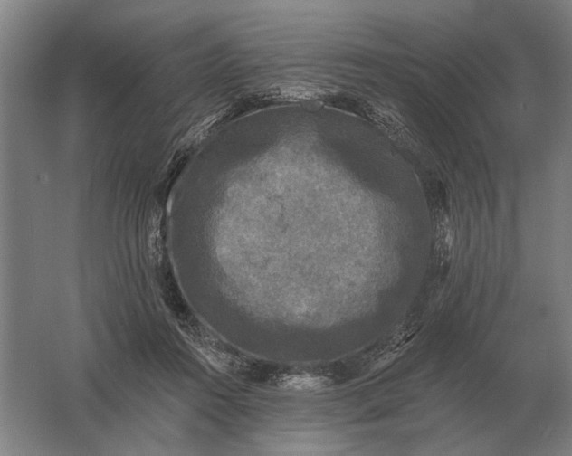 X0000061730360200512161628